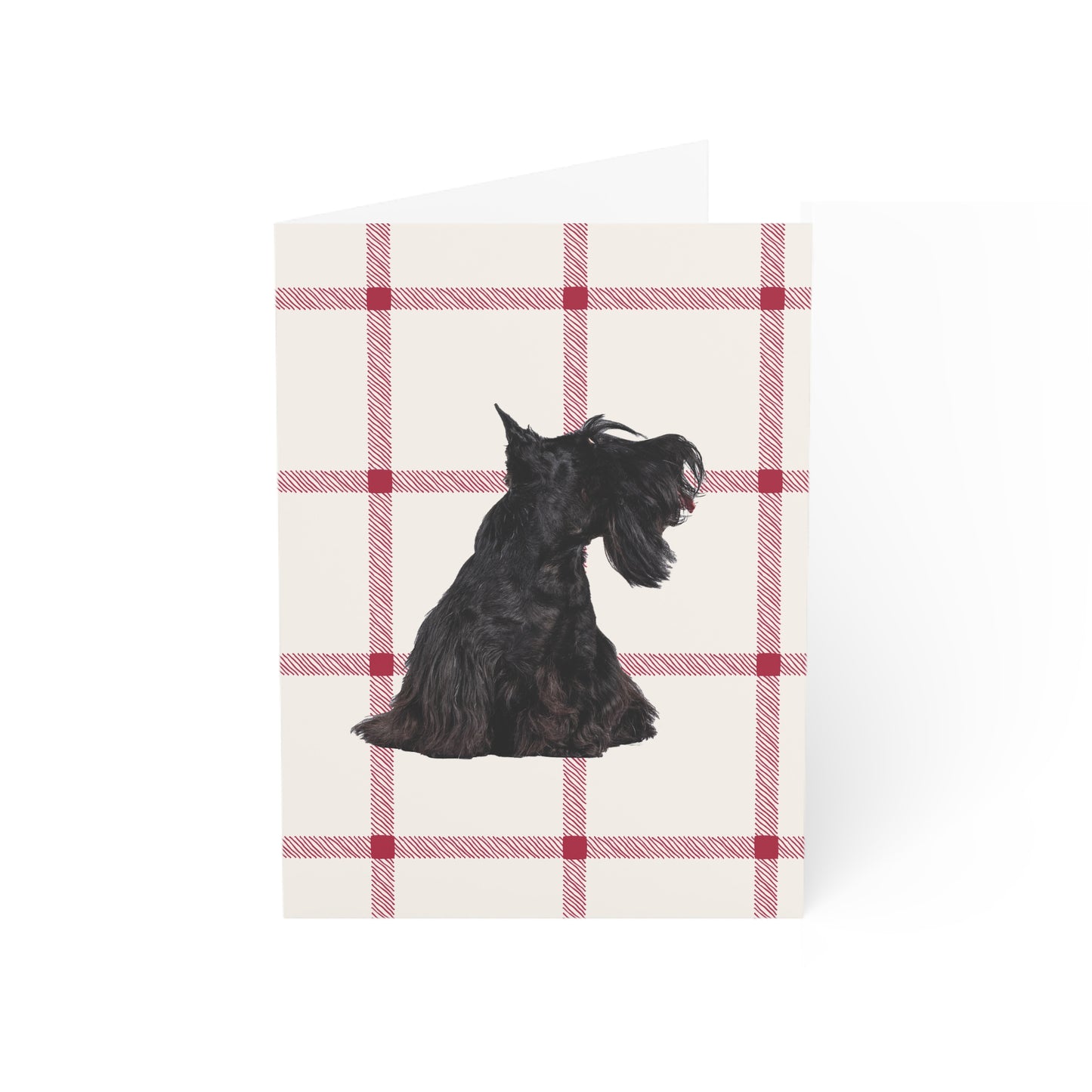 Holiday Greeting Cards - Scottish Terrier